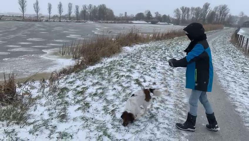 De ijsvloer bij Jirnsum